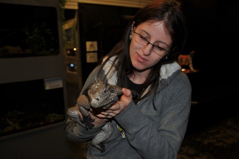 Kat trims reptile nails too