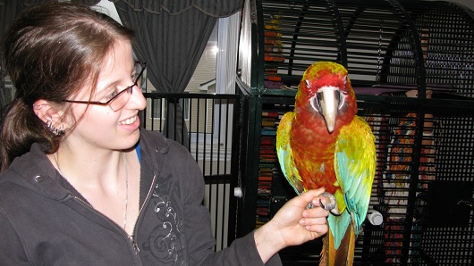 Kat-Bird